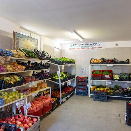 Bio Fattoria Mula D'Oro - Biofattoriamuladoro It - Organic Food, Nature & Relax Mulazzano Kültér fotó