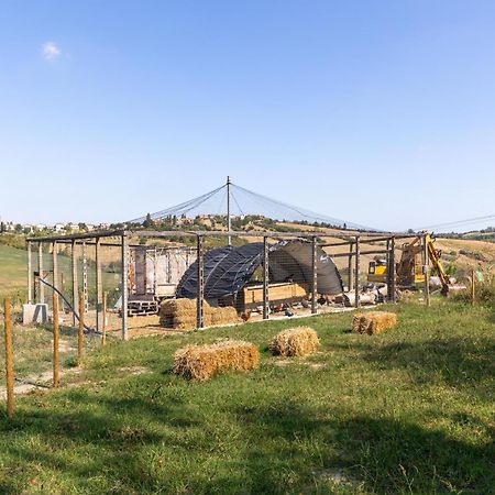 Bio Fattoria Mula D'Oro - Biofattoriamuladoro It - Organic Food, Nature & Relax Mulazzano Kültér fotó