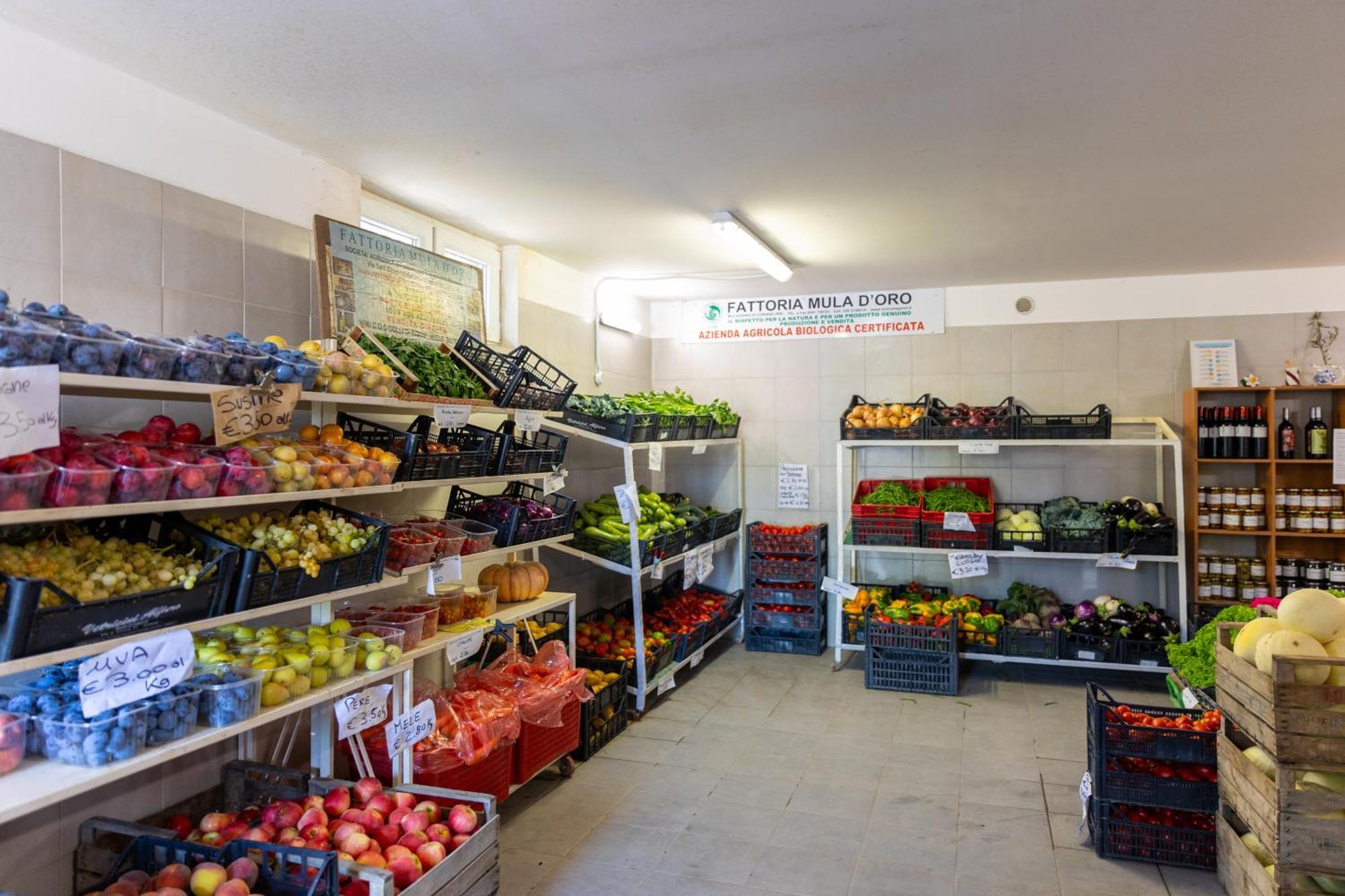 Bio Fattoria Mula D'Oro - Biofattoriamuladoro It - Organic Food, Nature & Relax Mulazzano Kültér fotó