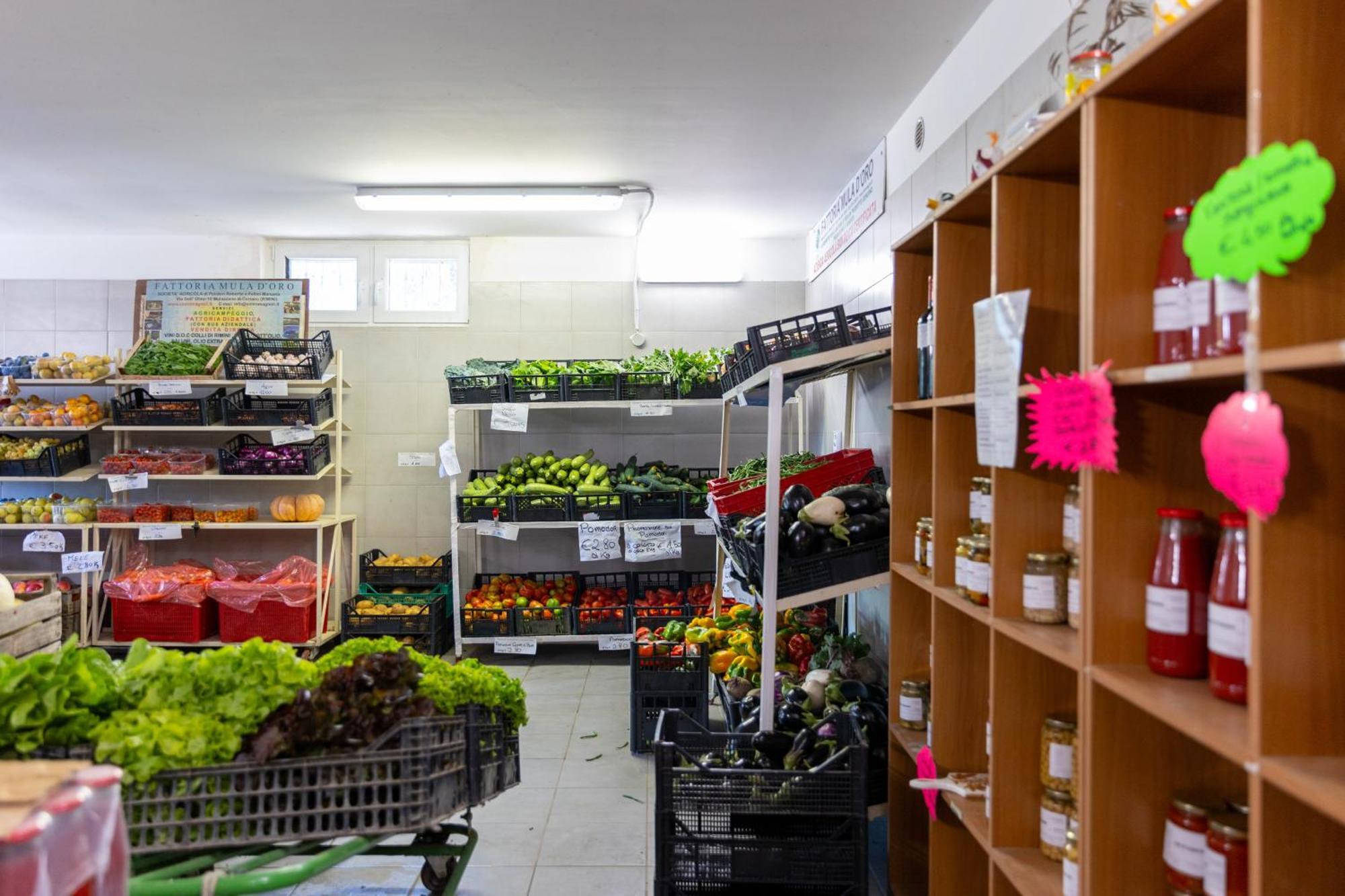 Bio Fattoria Mula D'Oro - Biofattoriamuladoro It - Organic Food, Nature & Relax Mulazzano Kültér fotó