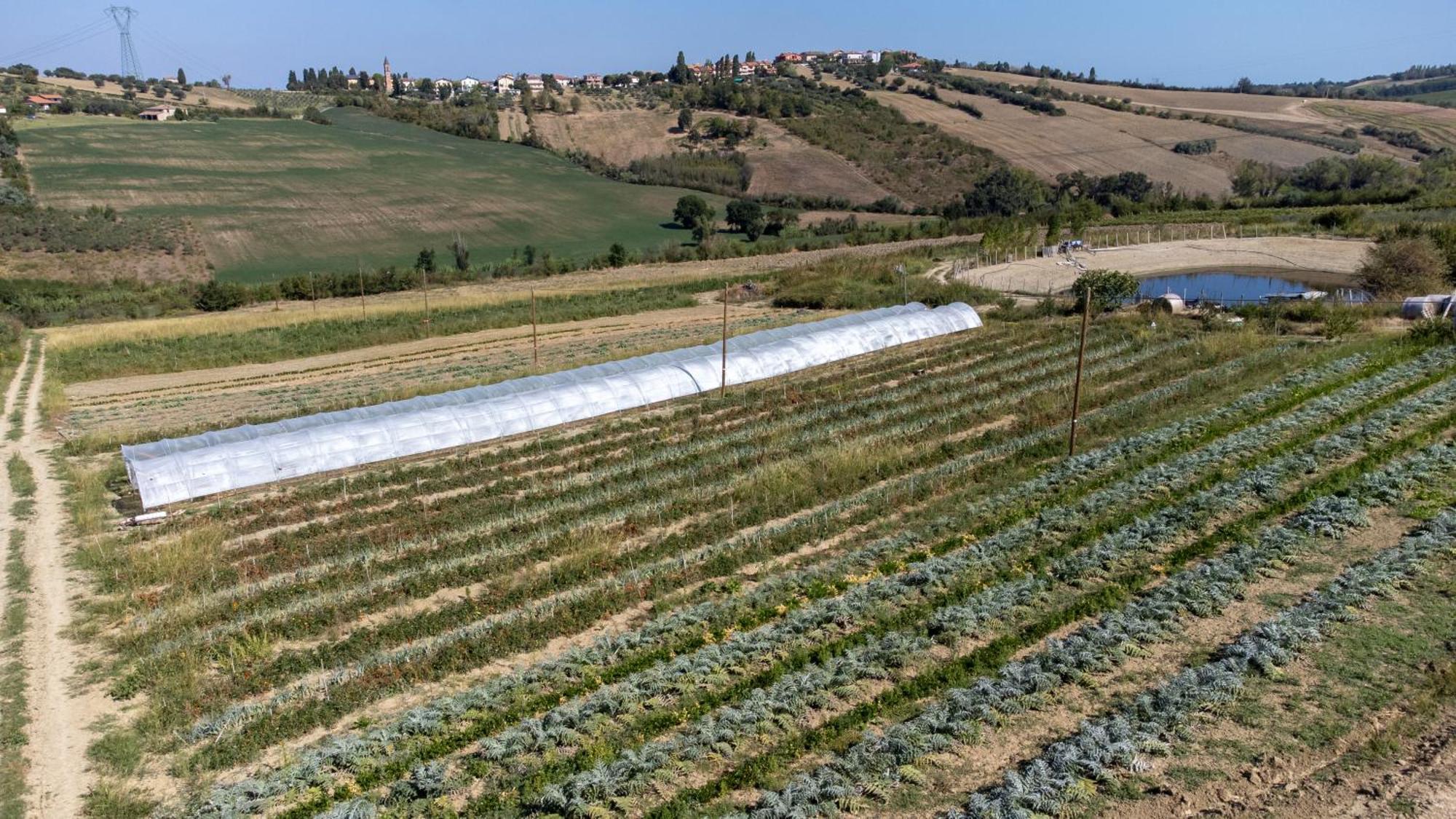 Bio Fattoria Mula D'Oro - Biofattoriamuladoro It - Organic Food, Nature & Relax Mulazzano Kültér fotó